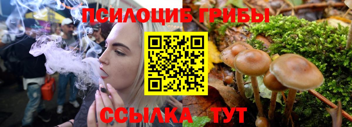 Галлюциногенные грибы мицелий Новоалтайск