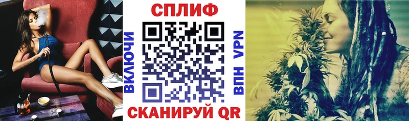 где можно купить   Новоалтайск  Конопля семена 